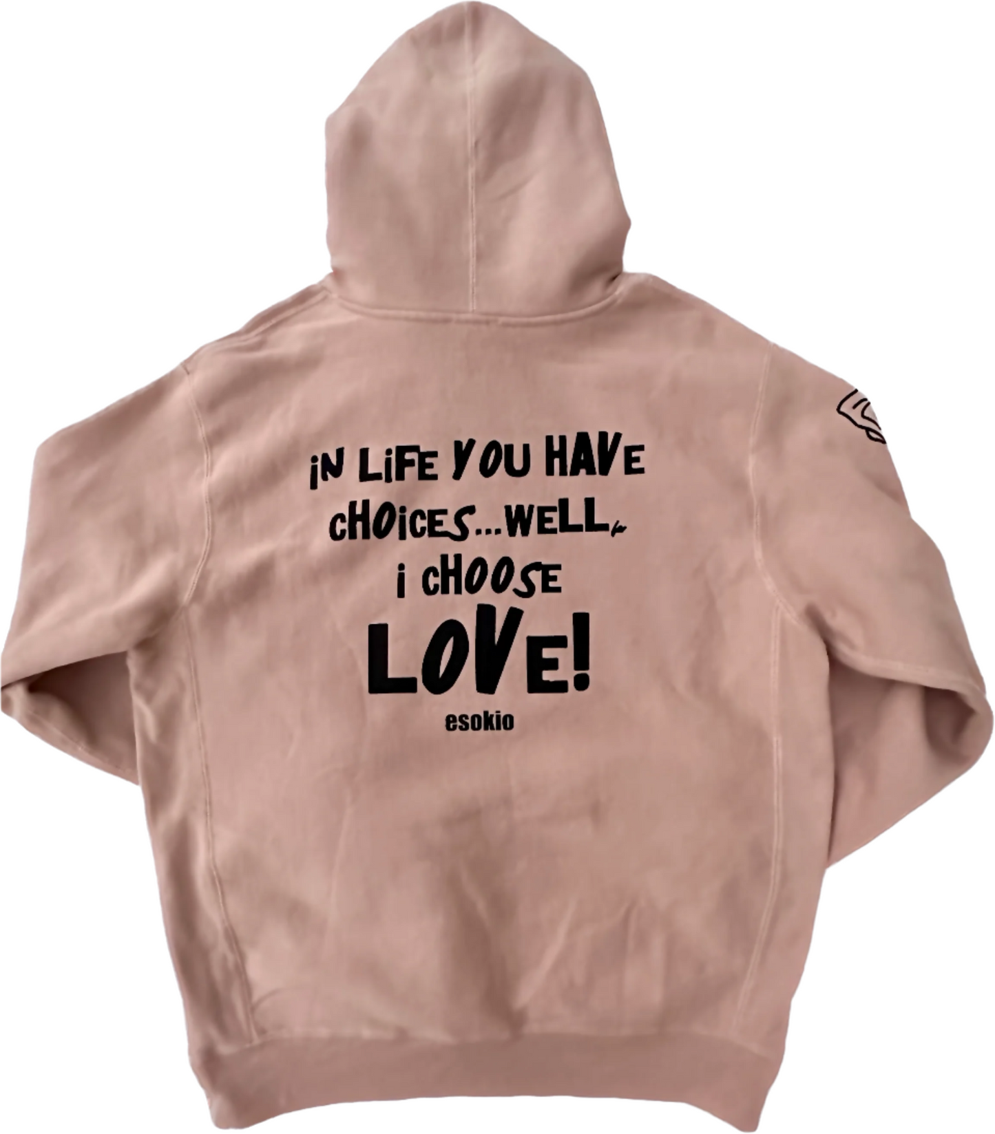 SIGNATURE IN LIFE YOU HAVE CHOICES Hoodie